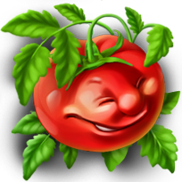 Файл:Tomat6.png