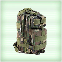 Файл:Cup commandos2017 backpack b.jpg