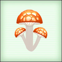 Файл:15y mushroom b.jpg