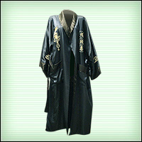 Файл:10y robe b.jpg